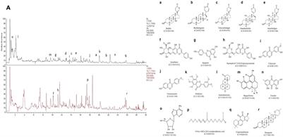 Chanling Gao Attenuates Bone Cancer Pain in Rats by the IKKβ/NF-κB Signaling Pathway